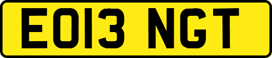 EO13NGT