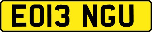 EO13NGU