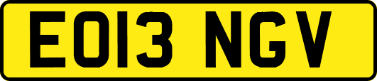 EO13NGV