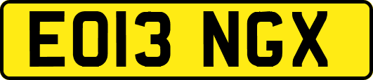 EO13NGX