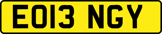 EO13NGY
