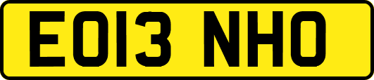 EO13NHO
