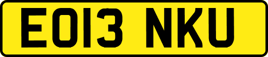 EO13NKU