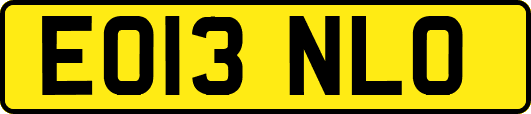 EO13NLO