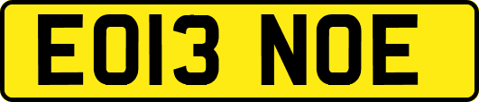 EO13NOE