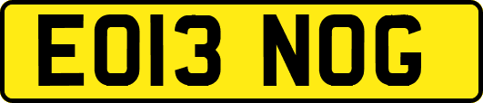 EO13NOG