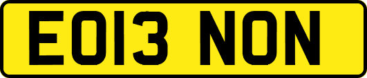 EO13NON