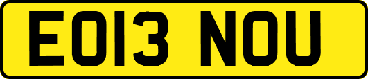 EO13NOU