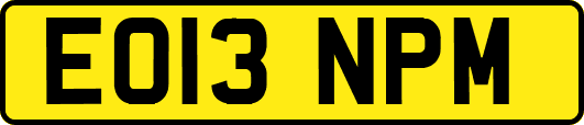 EO13NPM