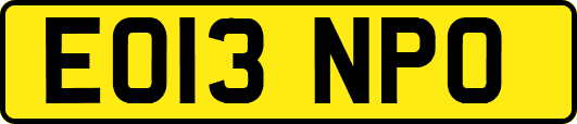 EO13NPO