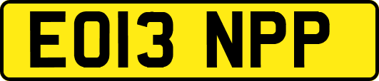 EO13NPP