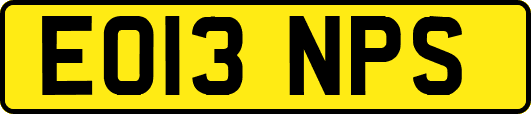 EO13NPS