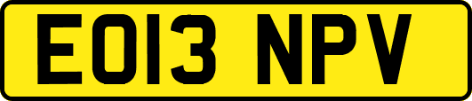 EO13NPV