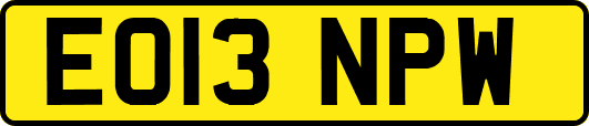 EO13NPW