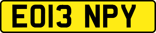 EO13NPY