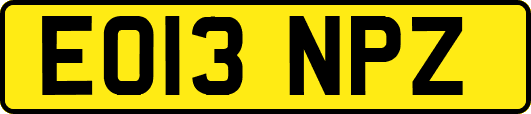 EO13NPZ