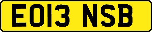 EO13NSB