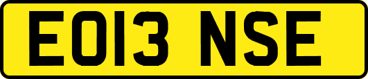 EO13NSE
