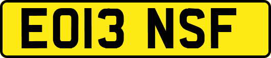 EO13NSF