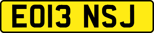 EO13NSJ