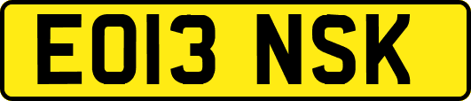 EO13NSK