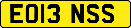 EO13NSS