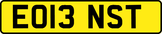 EO13NST