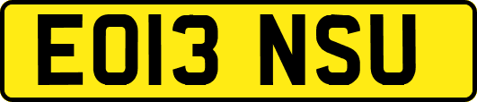 EO13NSU