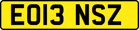 EO13NSZ