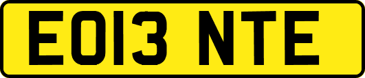 EO13NTE