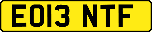 EO13NTF