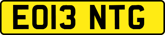 EO13NTG