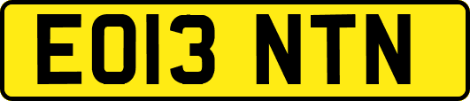 EO13NTN