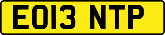 EO13NTP