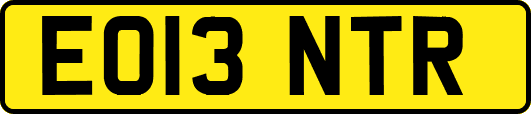 EO13NTR