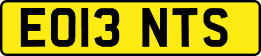 EO13NTS