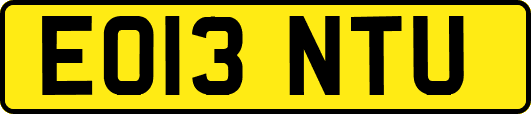EO13NTU