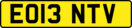 EO13NTV
