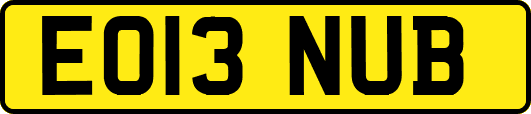EO13NUB
