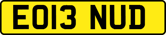 EO13NUD