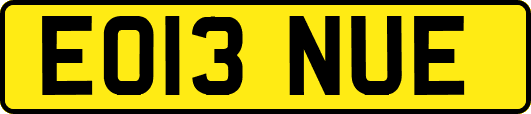 EO13NUE