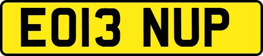 EO13NUP