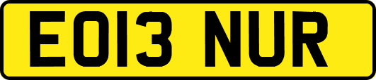 EO13NUR