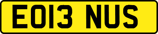 EO13NUS