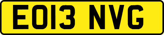 EO13NVG