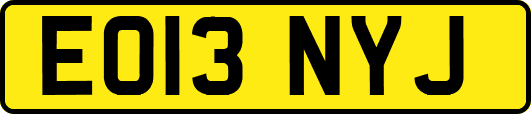 EO13NYJ