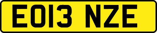 EO13NZE