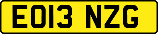 EO13NZG