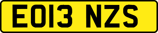 EO13NZS