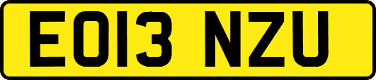 EO13NZU